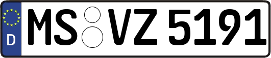 MS-VZ5191
