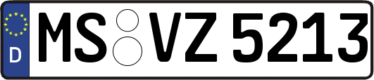 MS-VZ5213