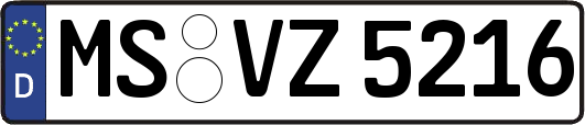 MS-VZ5216