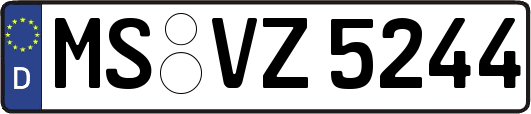 MS-VZ5244