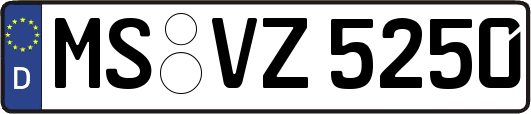 MS-VZ5250