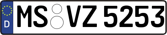 MS-VZ5253