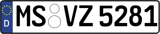 MS-VZ5281