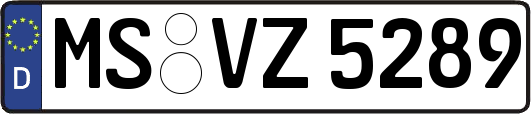 MS-VZ5289
