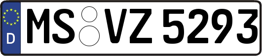 MS-VZ5293