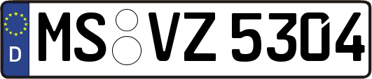 MS-VZ5304