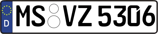 MS-VZ5306