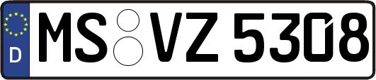 MS-VZ5308