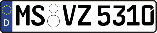 MS-VZ5310