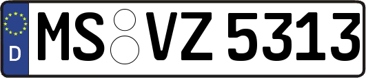 MS-VZ5313