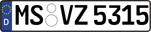 MS-VZ5315