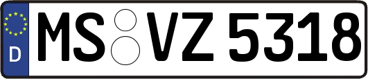 MS-VZ5318