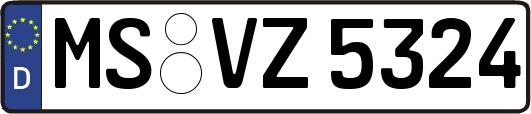 MS-VZ5324