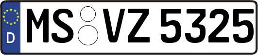 MS-VZ5325