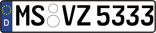MS-VZ5333