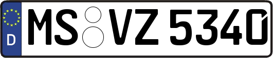 MS-VZ5340