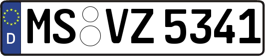 MS-VZ5341
