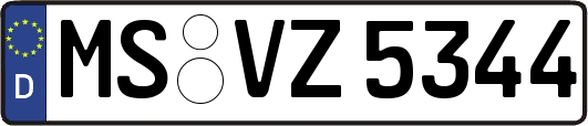 MS-VZ5344