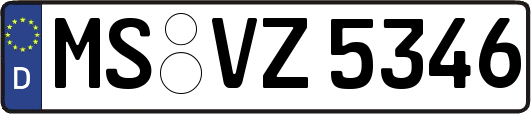 MS-VZ5346