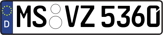 MS-VZ5360