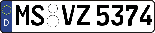 MS-VZ5374