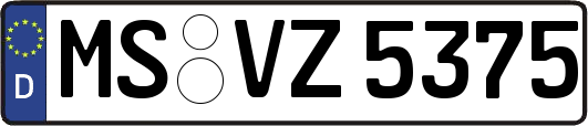 MS-VZ5375