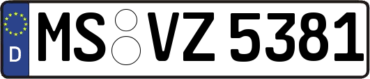 MS-VZ5381
