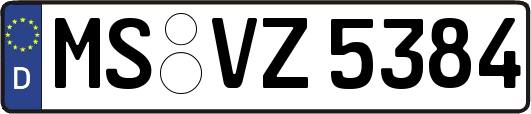MS-VZ5384
