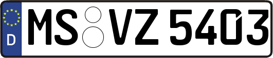 MS-VZ5403