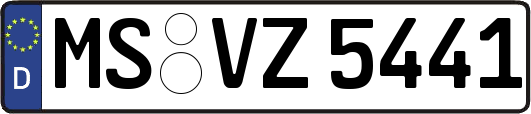 MS-VZ5441