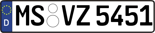 MS-VZ5451