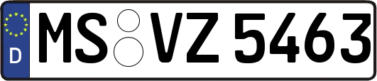 MS-VZ5463