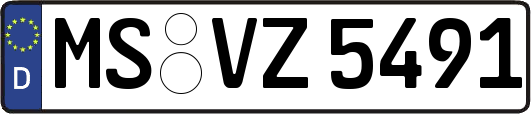 MS-VZ5491