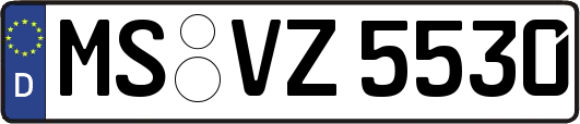 MS-VZ5530