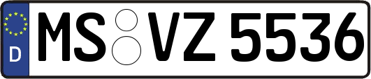 MS-VZ5536