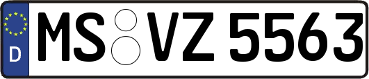 MS-VZ5563