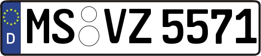 MS-VZ5571