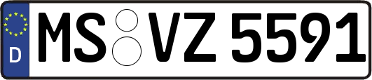 MS-VZ5591
