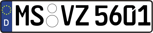 MS-VZ5601