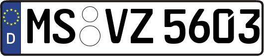 MS-VZ5603