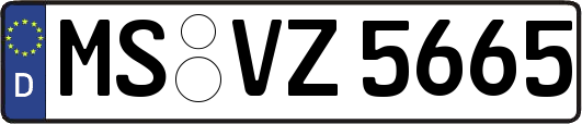 MS-VZ5665