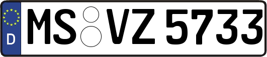 MS-VZ5733