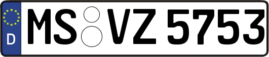 MS-VZ5753
