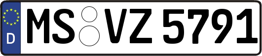 MS-VZ5791