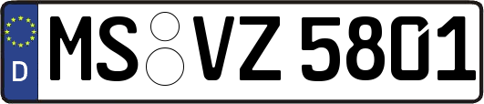 MS-VZ5801