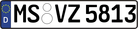 MS-VZ5813