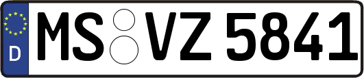 MS-VZ5841