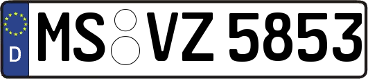 MS-VZ5853