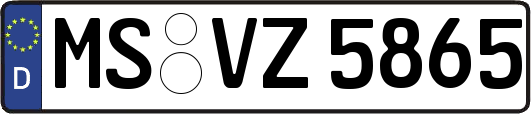 MS-VZ5865
