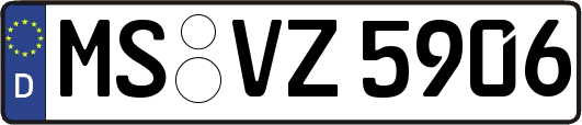 MS-VZ5906